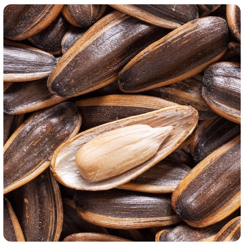 Koushuixiaojiang Sun flower Seeds 218g
