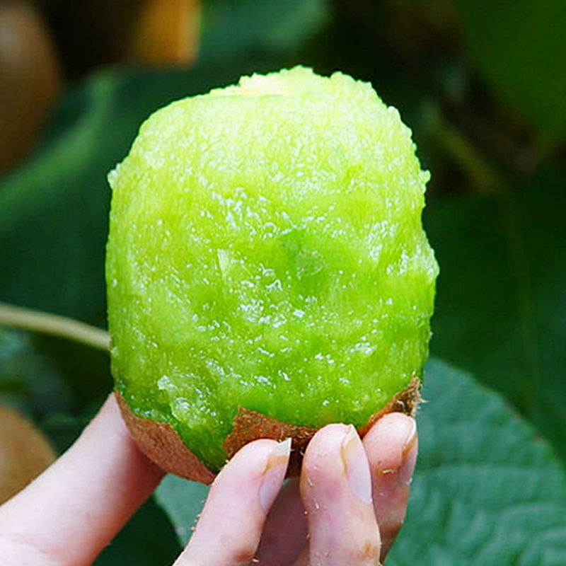 Kiwi
