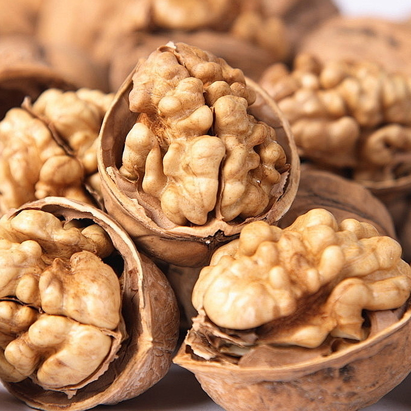 WALNUT