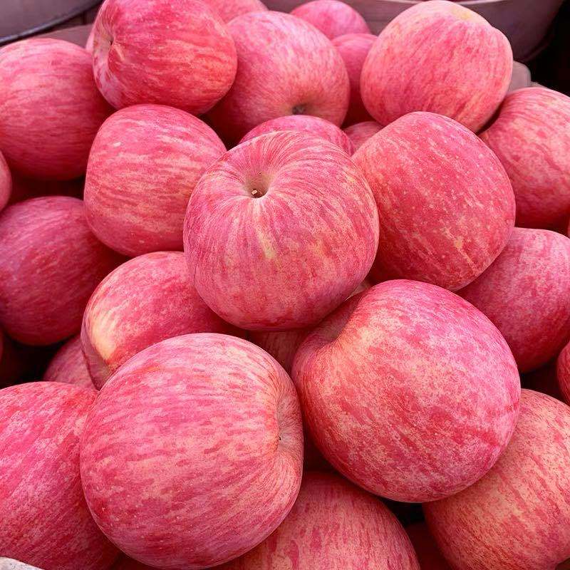 Apple Fruit