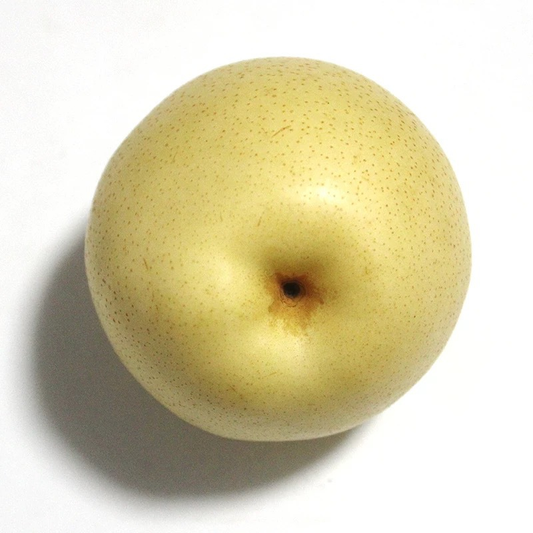 Fresh Pear
